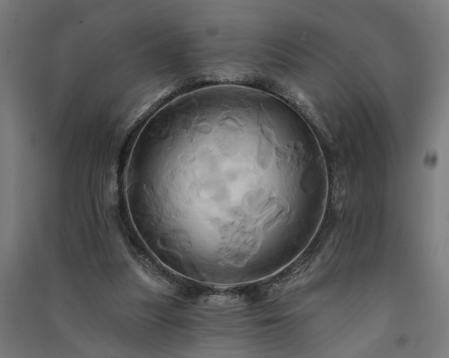 X0000091590251200708201236