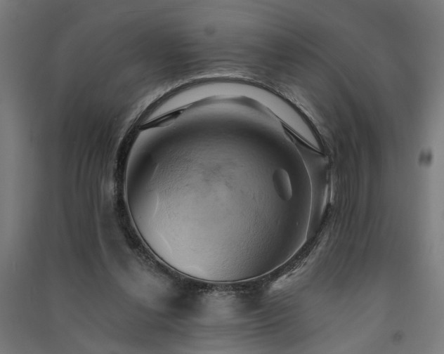 X0000091590252200708201236