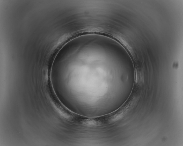 X0000091590253200708201236
