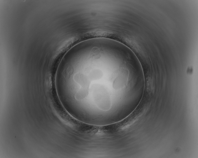 X0000091590254200708201236