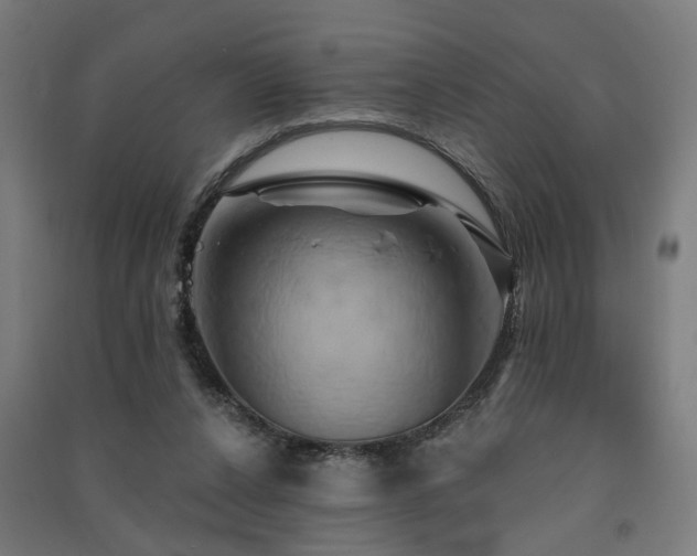 X0000091590256200708201236
