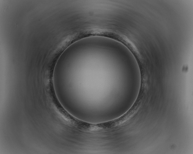 X0000091590257200708201236