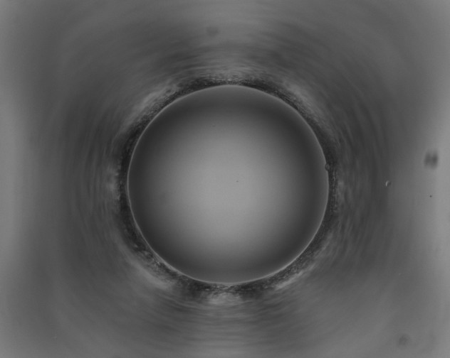 X0000091590258200708201236