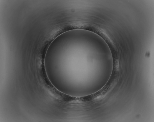X0000091590259200708201236
