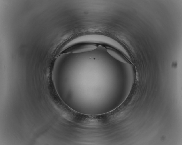 X0000091590260200708201236