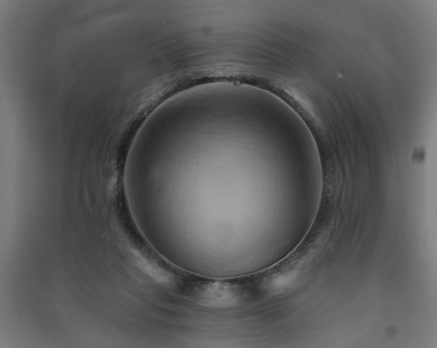 X0000091590261200708201236