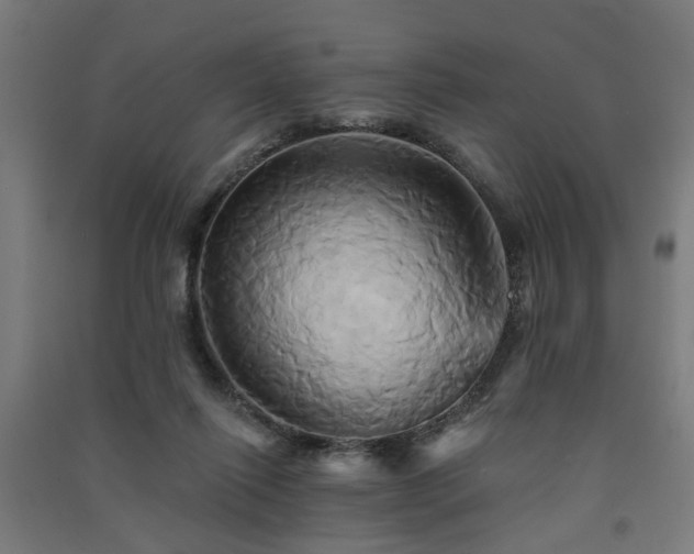 X0000091590262200708201236