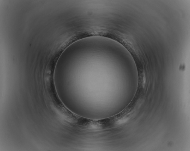 X0000091590263200708201236