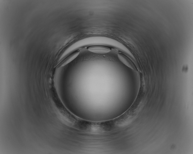 X0000091590264200708201236