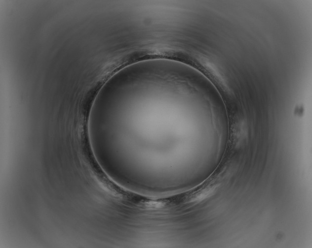 X0000091590265200708201236