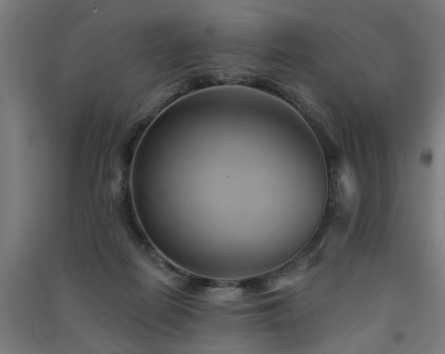 X0000091590266200708201236