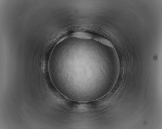 X0000091590268200708201236