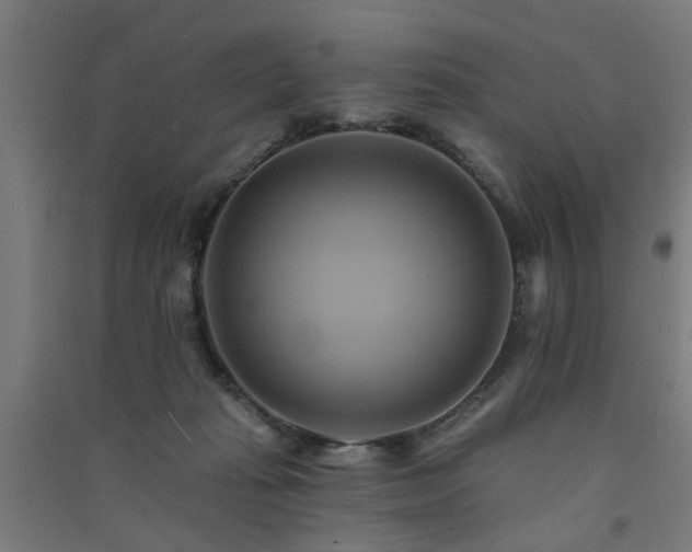 X0000091590269200708201236