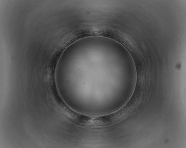 X0000091590270200708201236