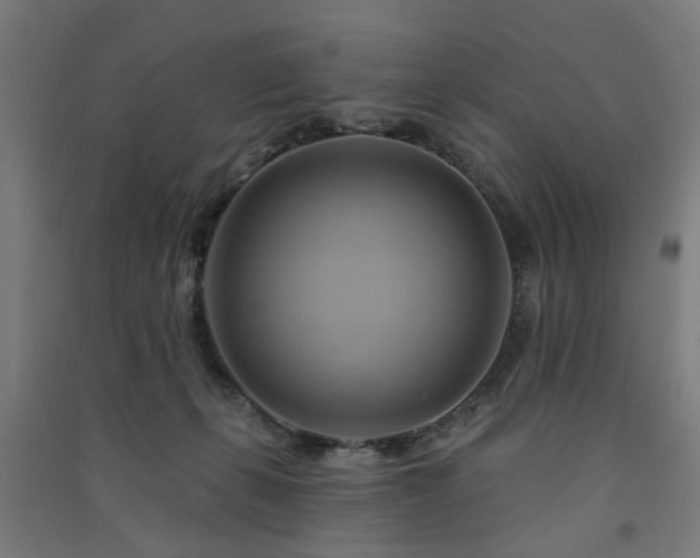 X0000091590271200708201236