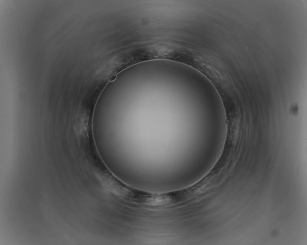 X0000091590274200708201236