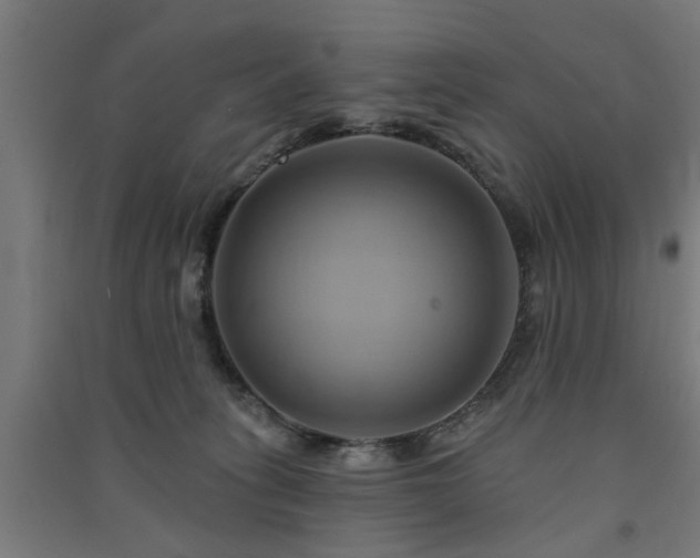 X0000091590275200708201236
