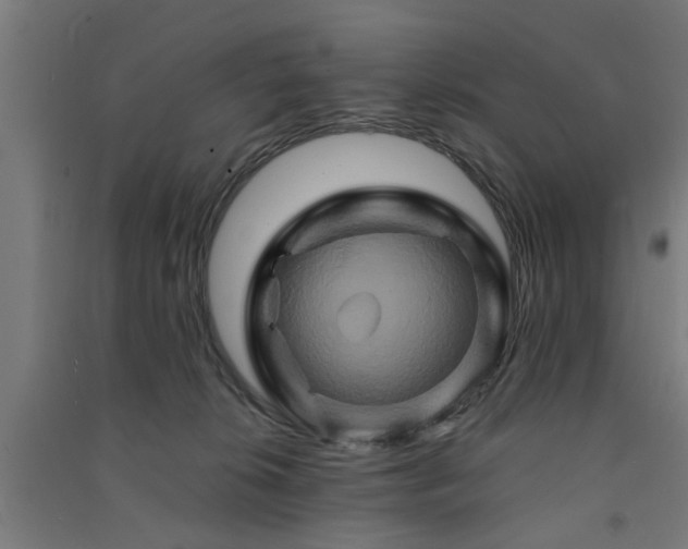 X0000091590276200708201236