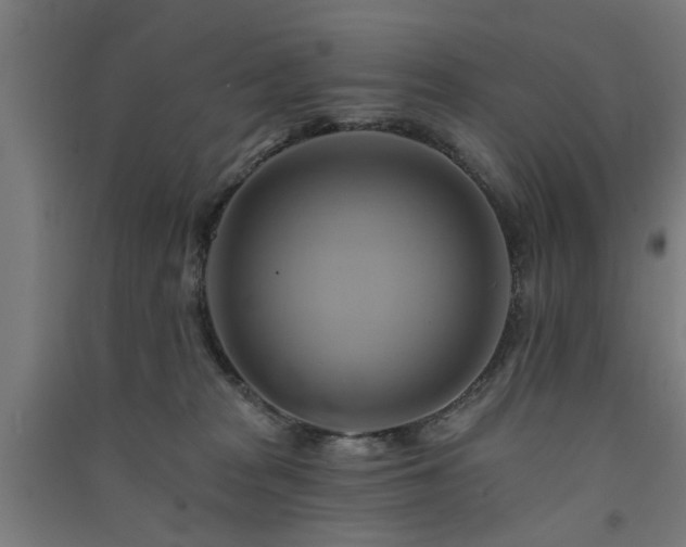 X0000091590277200708201236