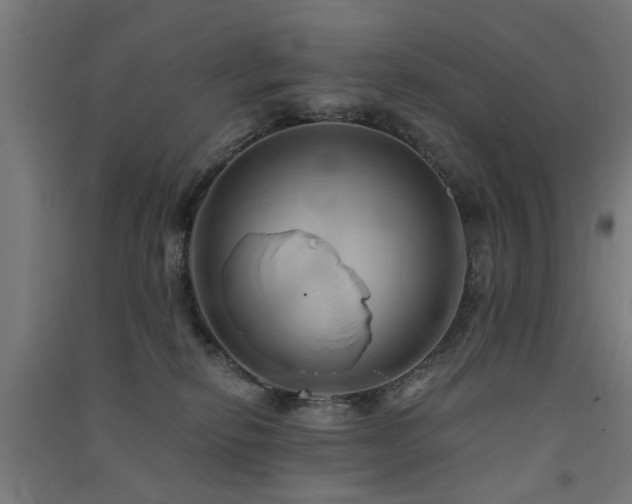 X0000091590278200708201236