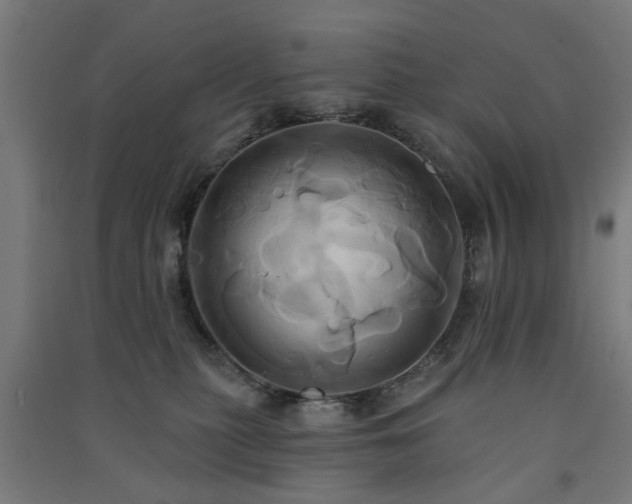 X0000091590279200708201236