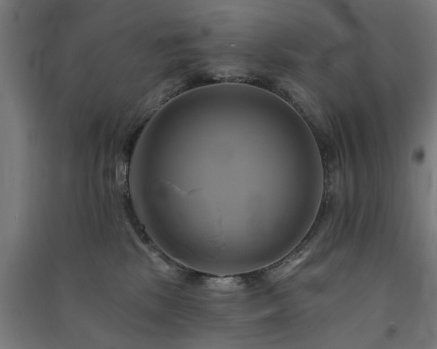 X0000091590281200708201236