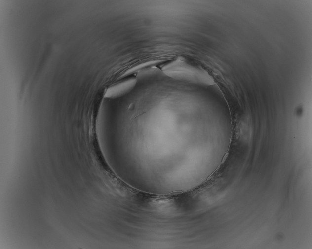 X0000091590283200708201236