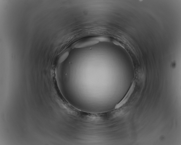 X0000091590284200708201236