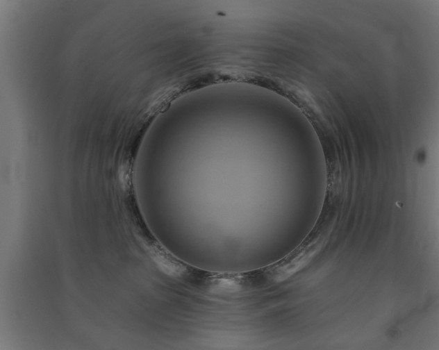 X0000091590285200708201236