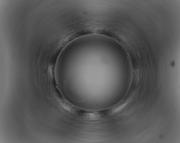 X0000091590286200708201236