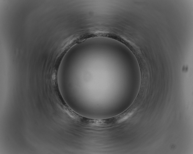 X0000091590288200708201236