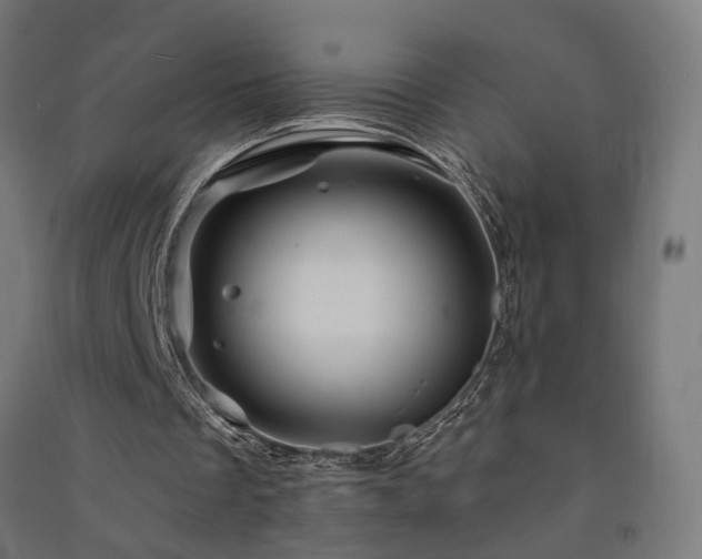 X0000091590289200708201236