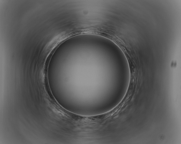 X0000091590290200708201236