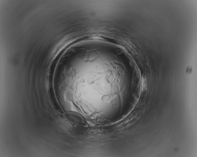 X0000091590291200708201236