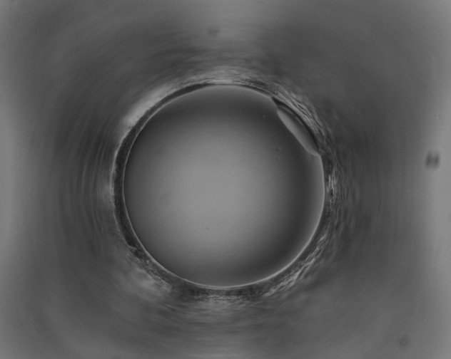 X0000091590292200708201236