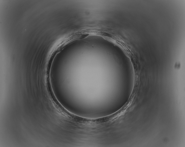 X0000091590293200708201236