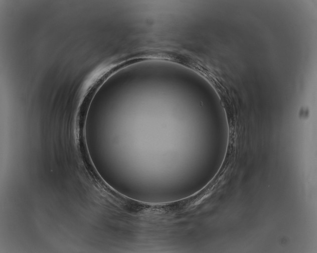 X0000091590294200708201236