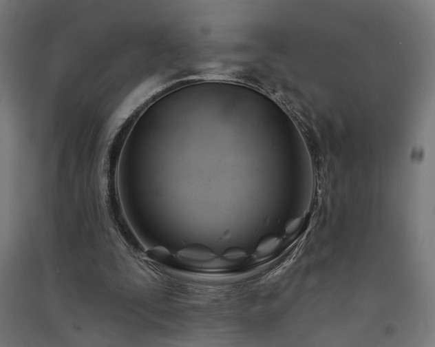 X0000091590295200708201236