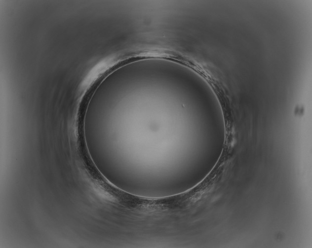 X0000091590296200708201236