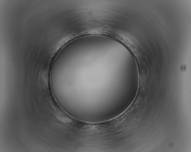 X0000091590297200708201236