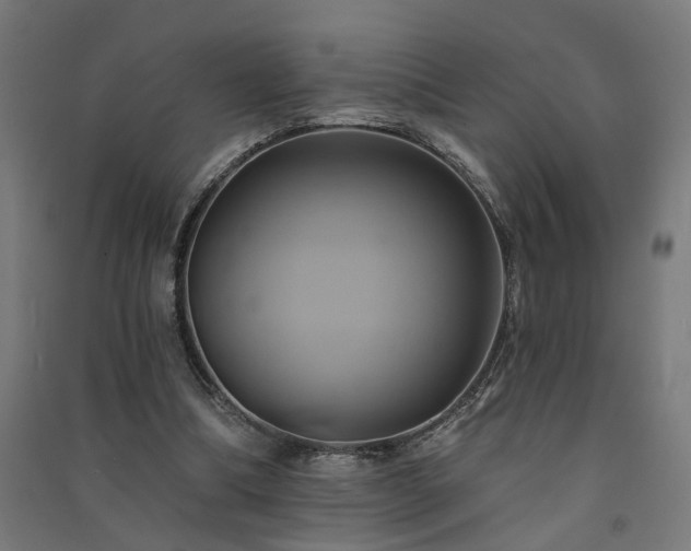 X0000091590298200708201236