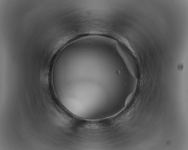 X0000091590299200708201235