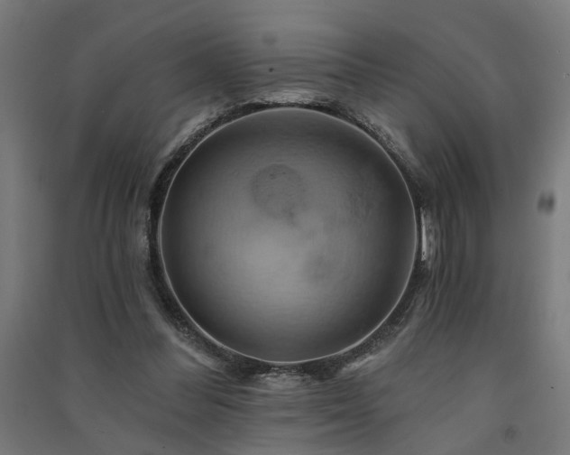 X0000091590300200708201235
