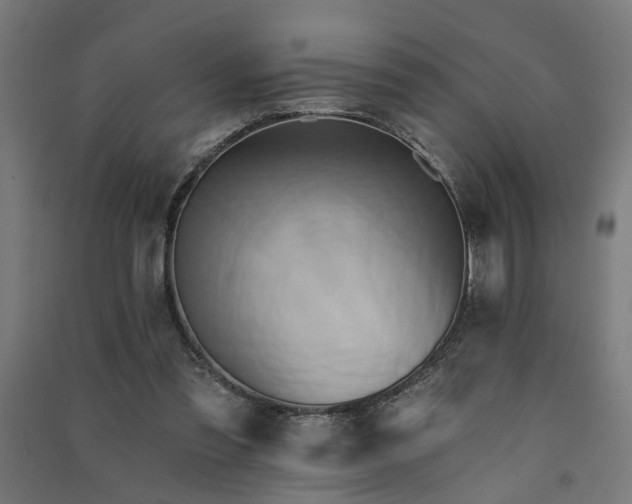 X0000091590301200708201235