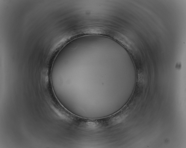 X0000091590302200708201235