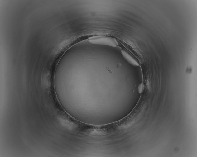 X0000091590303200708201235