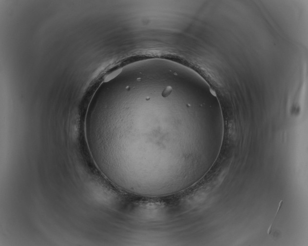 X0000091590304200708201235