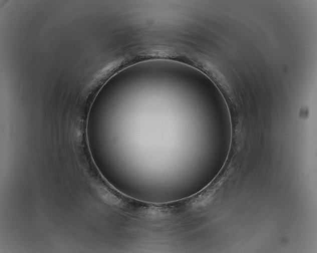 X0000091590305200708201235