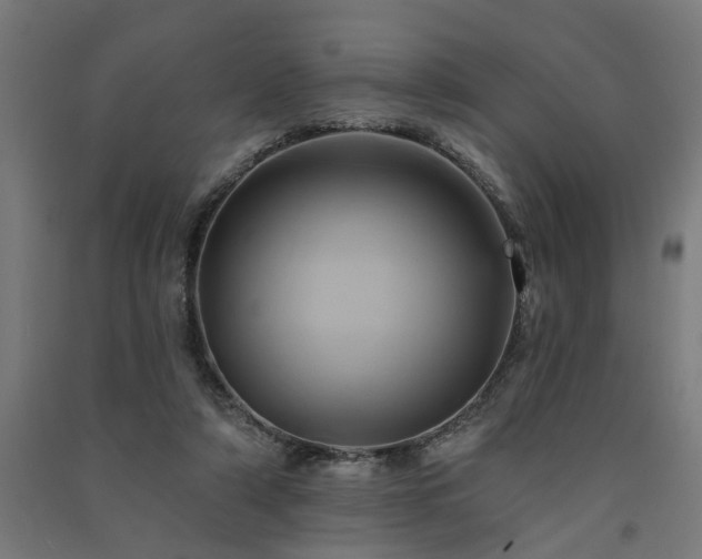 X0000091590306200708201235