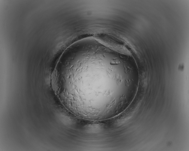 X0000091590307200708201235